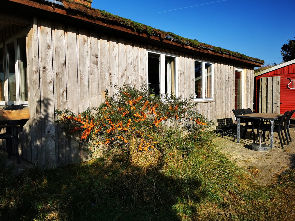 Ferienhaus Lyren Blaavand -至2024年10月