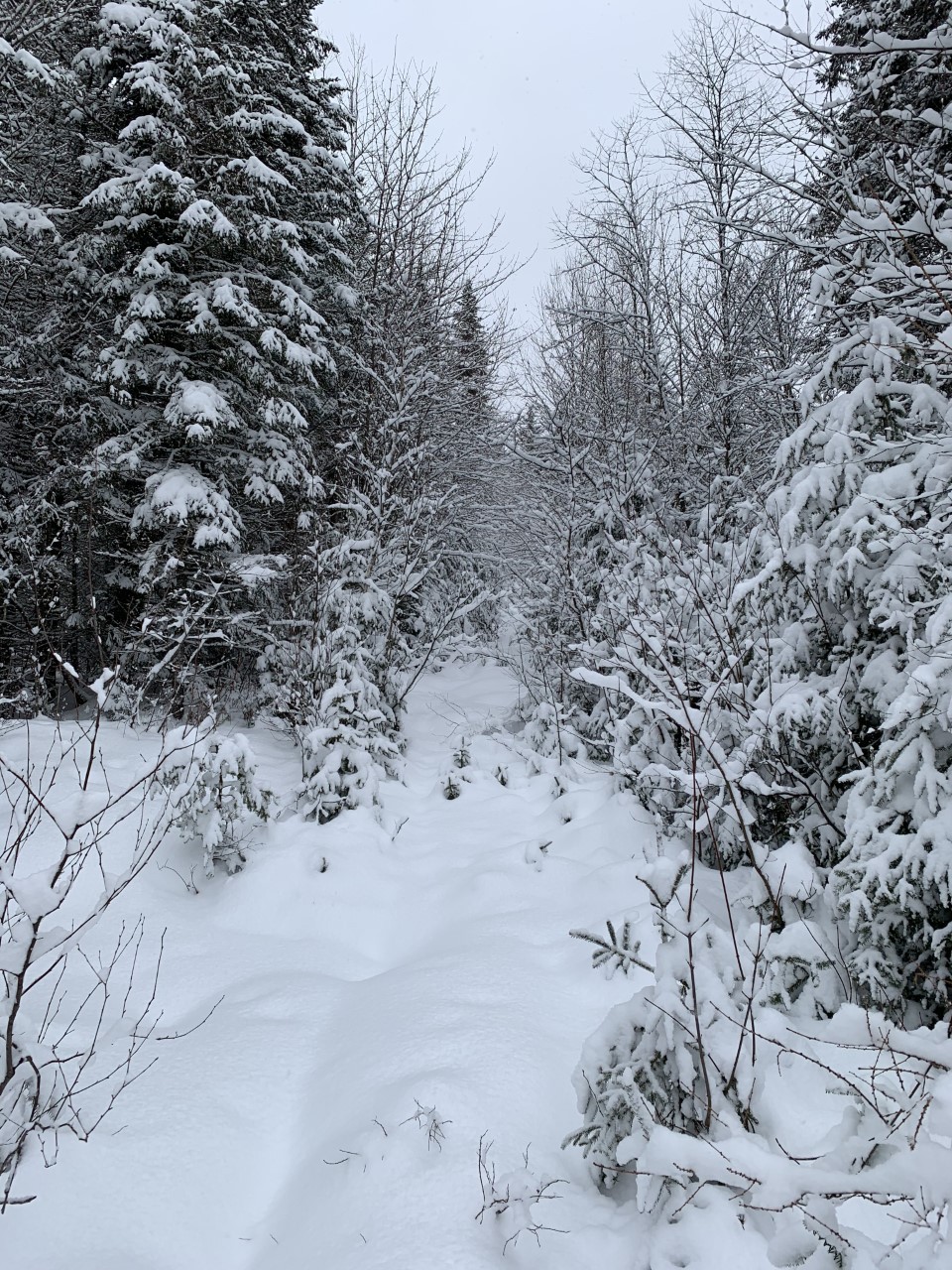 （罗密欧和朱丽叶）湖上的Domaine Valcartier