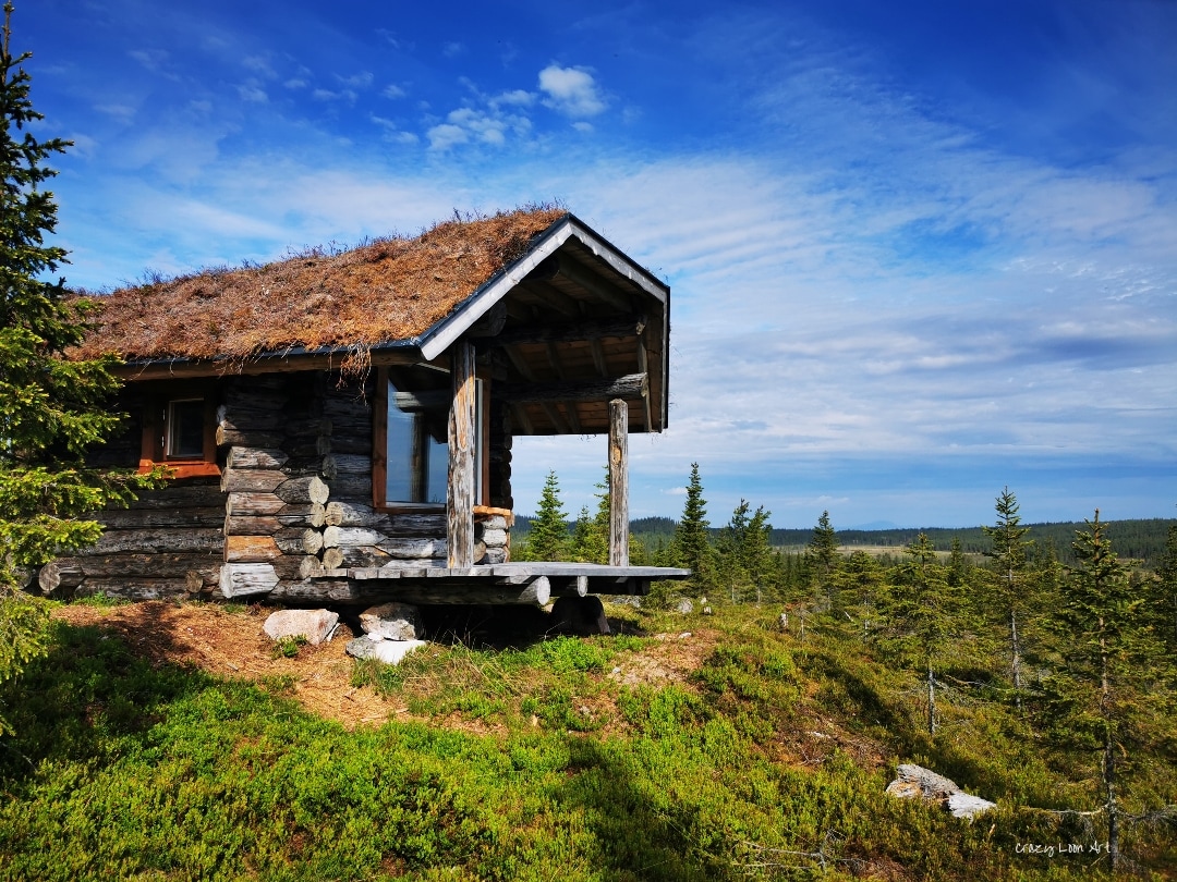 Logcabin "mad muskox" ，靠近荒野