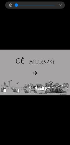 Les Ponts-de-Cé的民宿