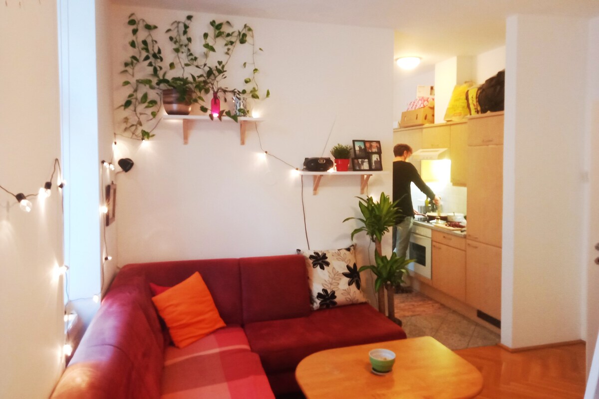 舒适的单间公寓，位于维也纳市中心