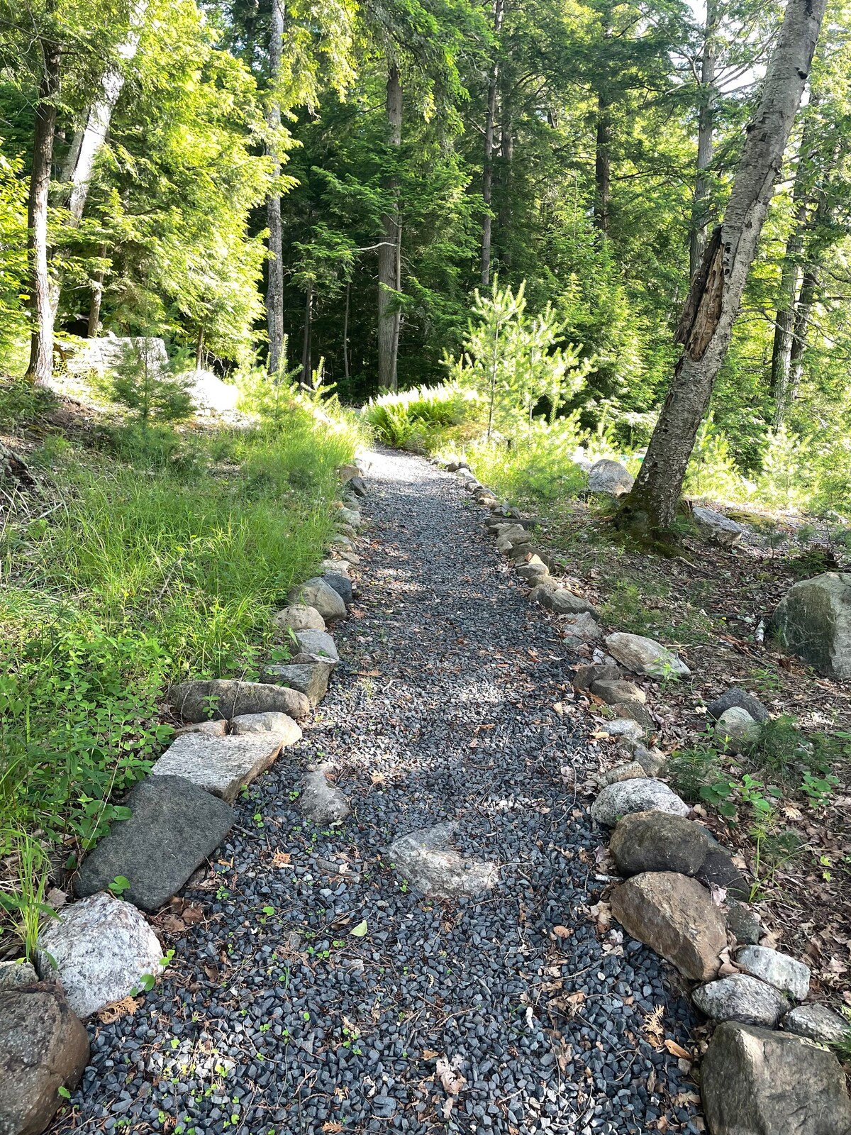 5 BR on Schroon Lake with Pontoon Boat