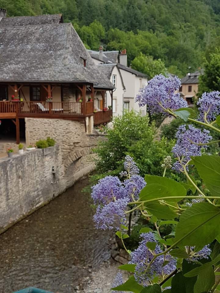 位于埃斯泰因（ Estaing ）的中心地带和城堡的脚下。