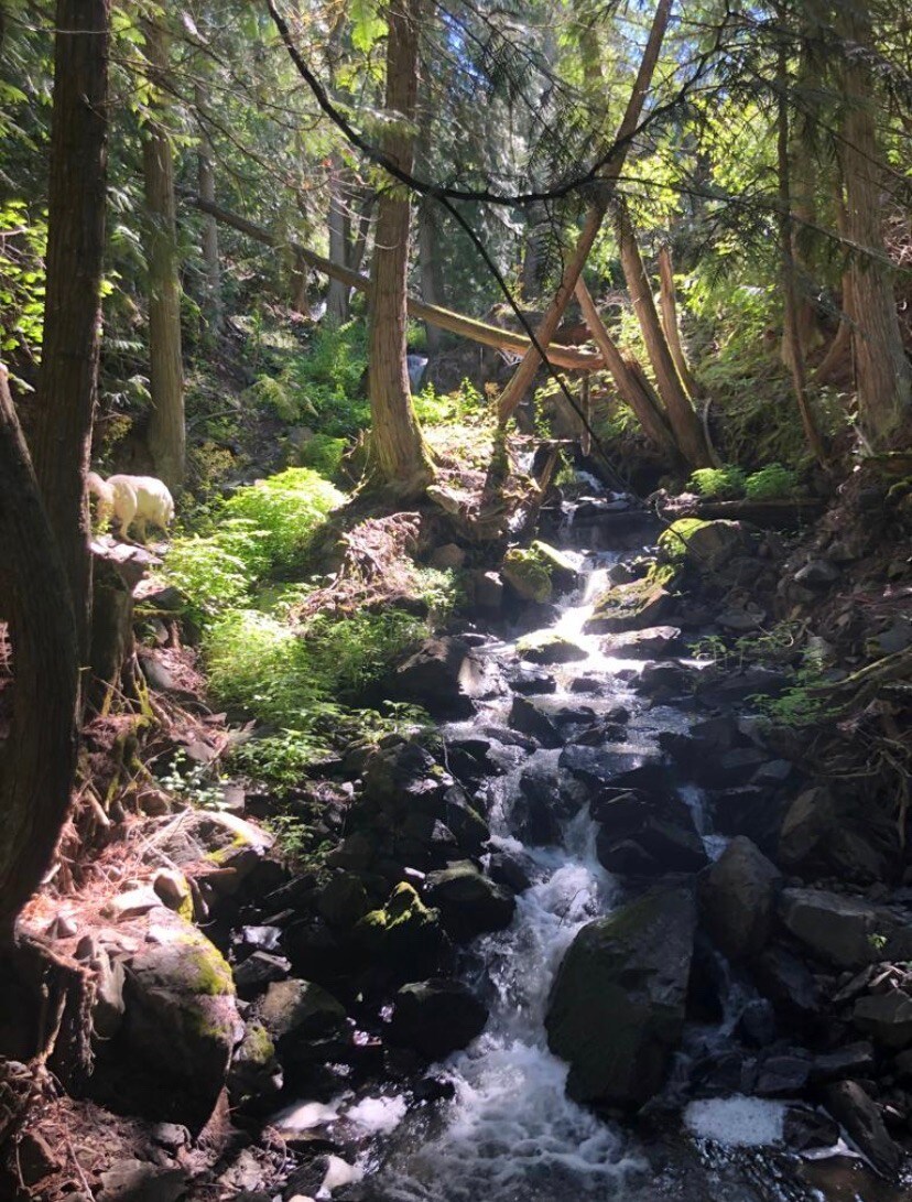 •位于不列颠哥伦比亚省Kootenays Creston的宁静度假小屋•