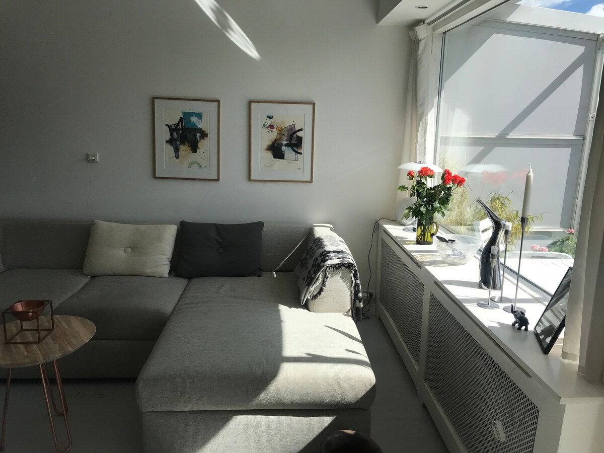 哥本哈根附近有魅力的顶层公寓