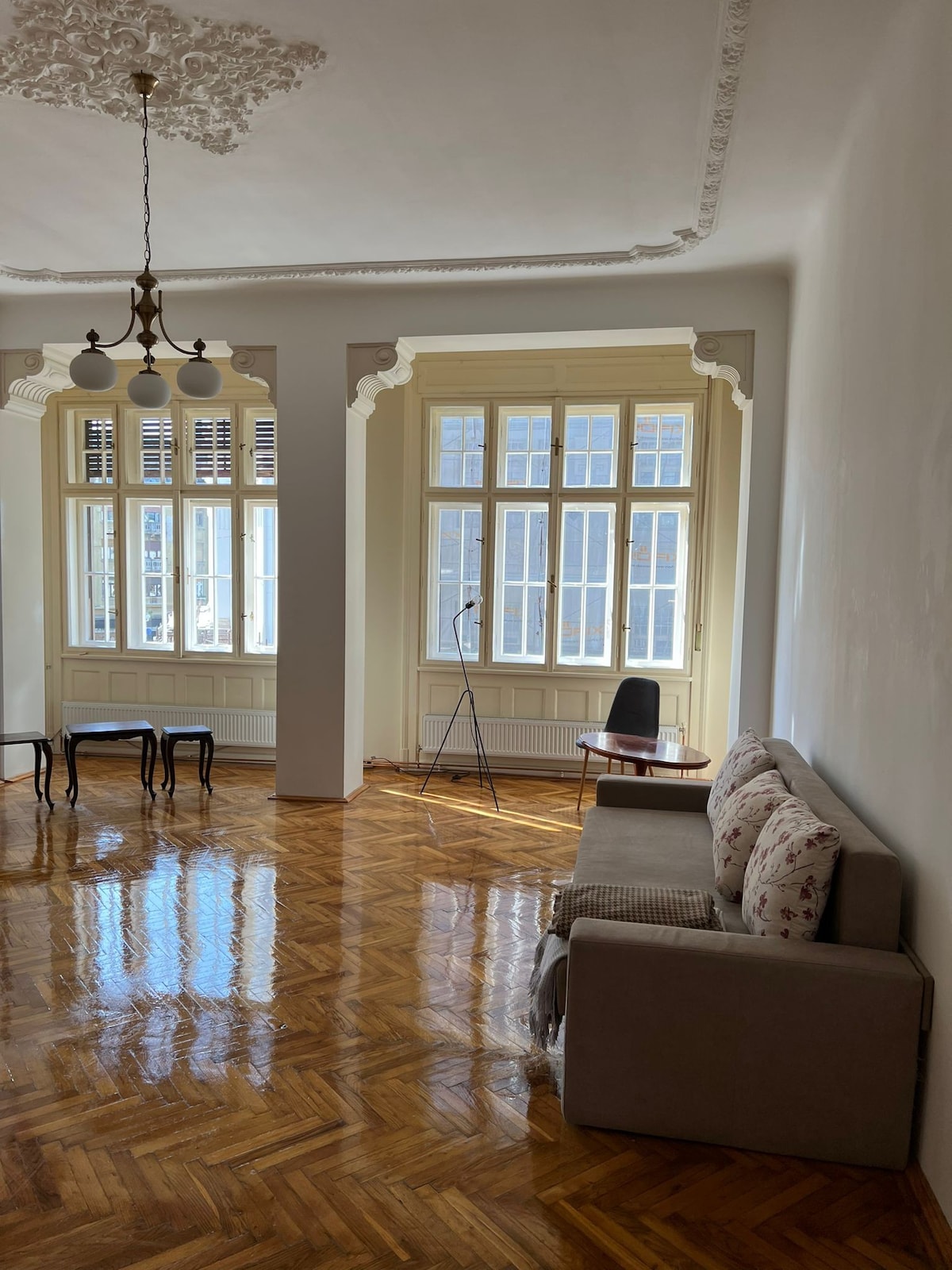 Historic apartment in Weiss Palace
