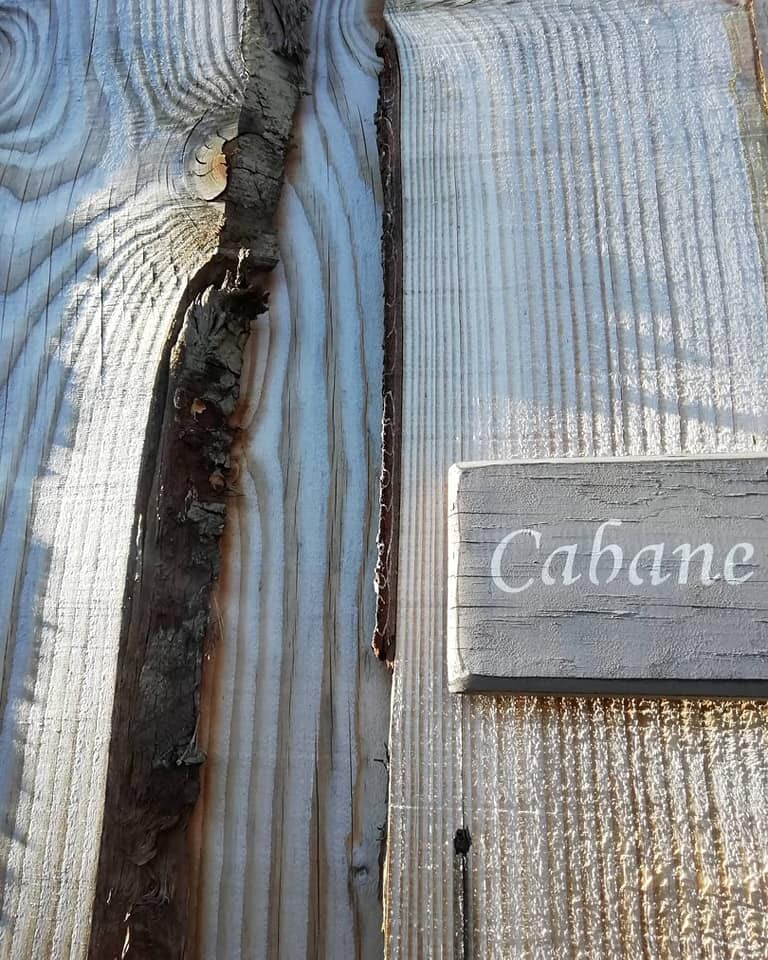 "La Cabane sous les Châtaigniers "