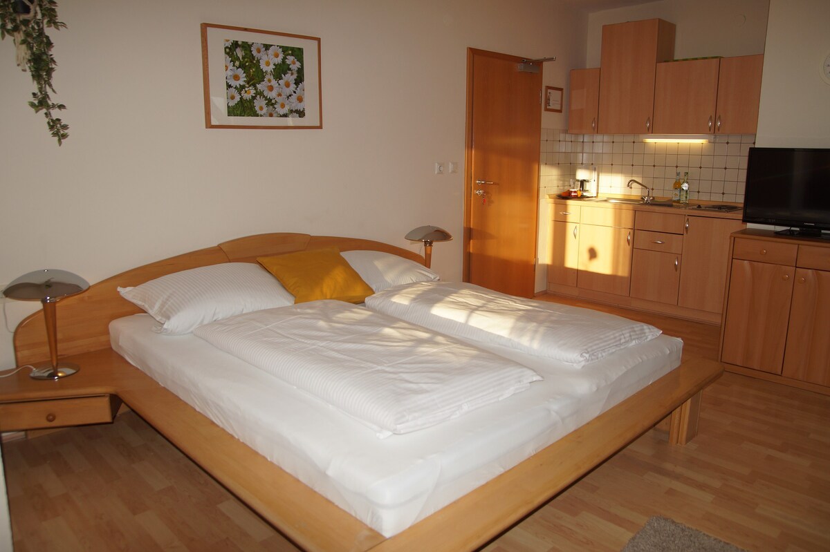 Ferienhof Barthel （ Gunzenhausen ） ，带双人床和沙发床的度假公寓3