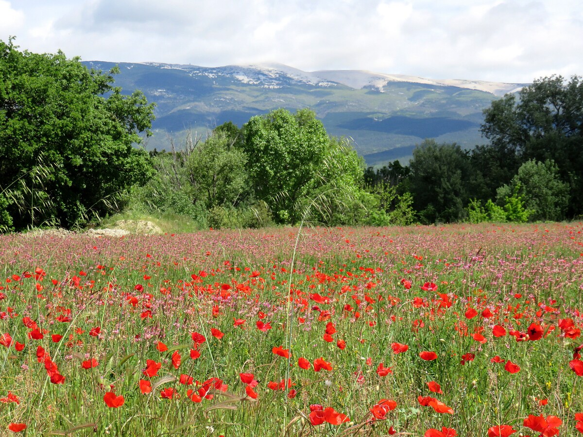 Pour les amoureux du Ventoux