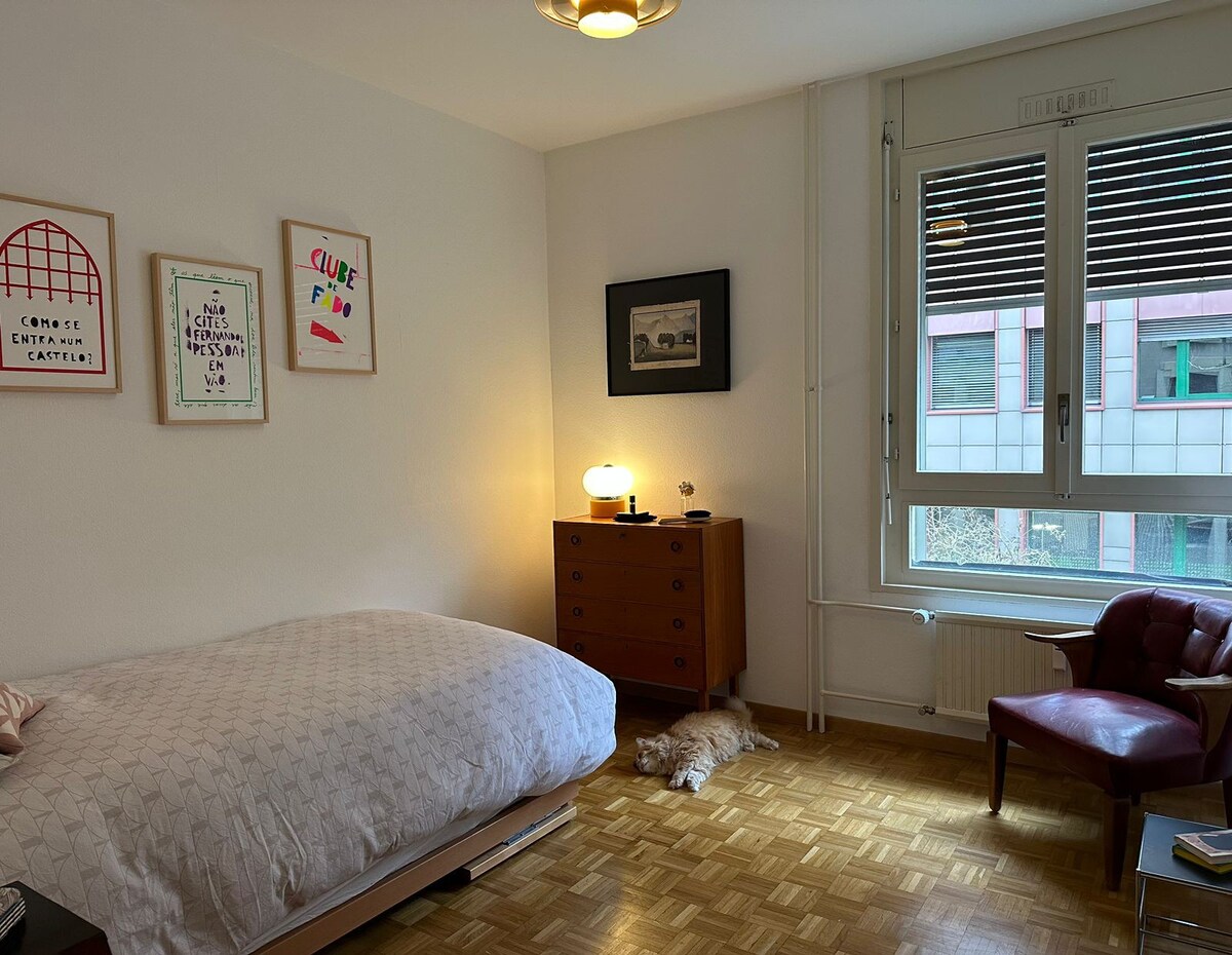 世纪中叶公寓的舒适房间