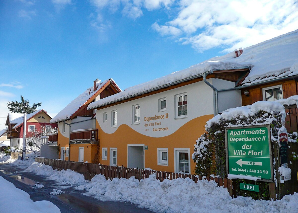 ****Apartment in Schladming