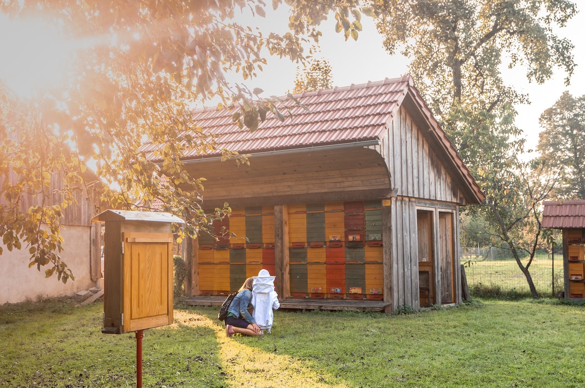 Studio 2 on the Beekeeping Homestead