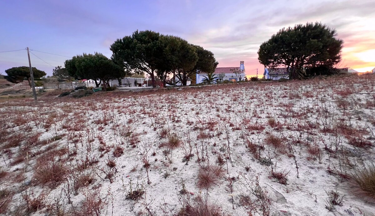 Comporta Casa Paloma