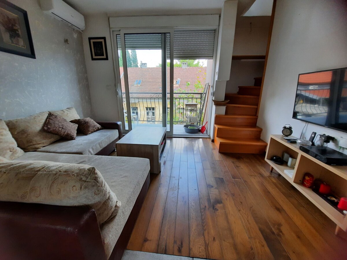 Apartment in the Center of Podgorica