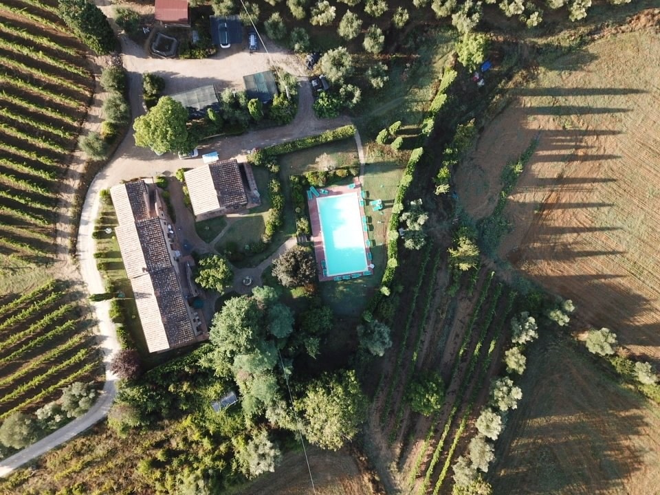 托斯卡纳乡村|带泳池和葡萄园的农场