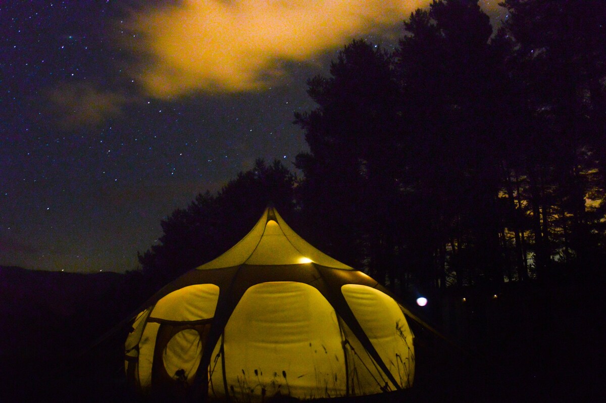 天堂般的莲花贝尔帐篷（ Honeysuckle Tent ）