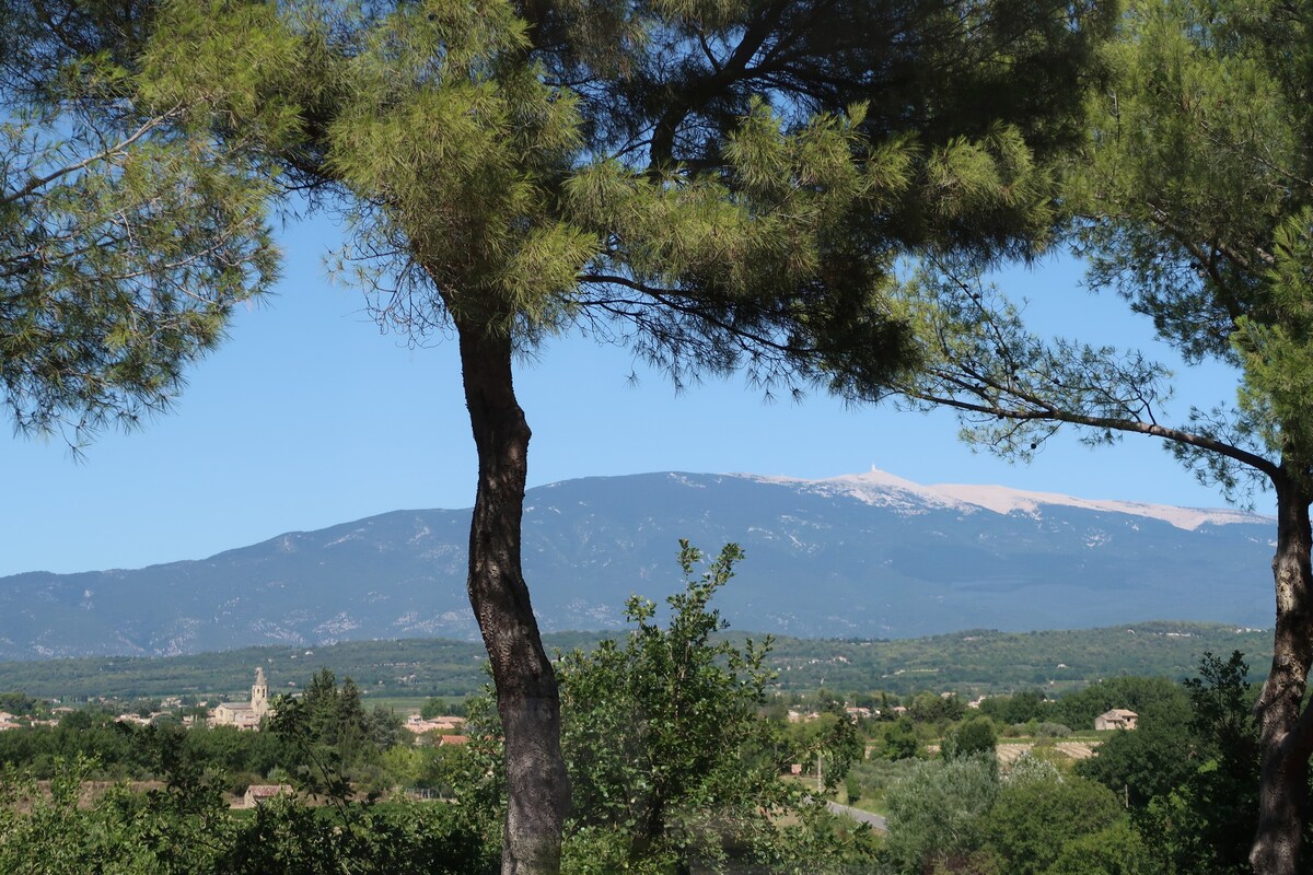 Mazanel设计别墅，泳池， Mont Ventoux景观