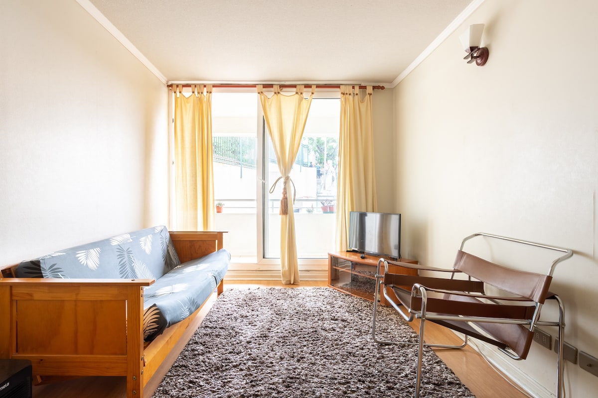 可爱的海滨公寓，位于瓦尔帕莱索（ Valparaíso ）和葡萄园