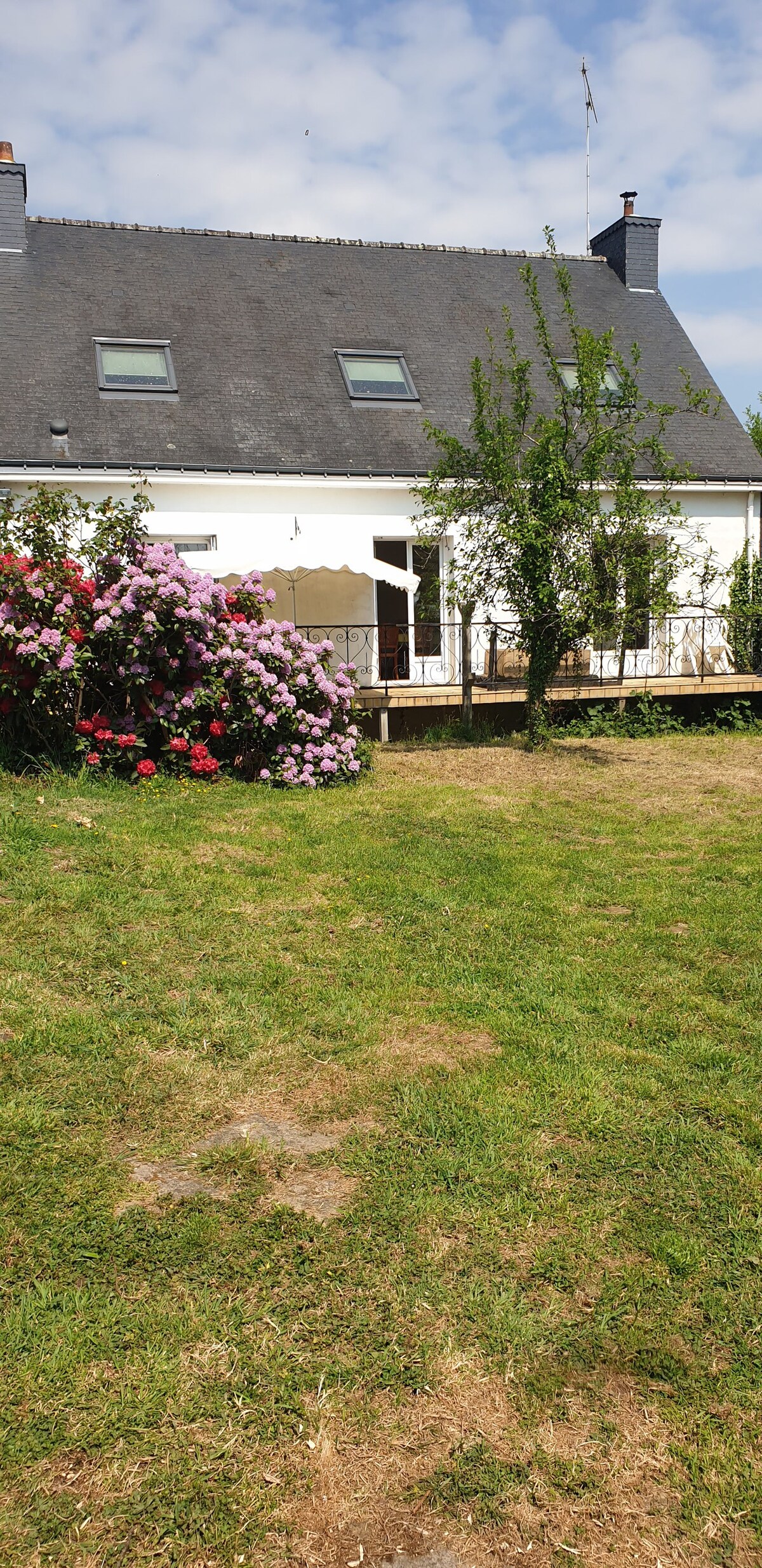 Entre Brocéliande et golfe du Morbihan