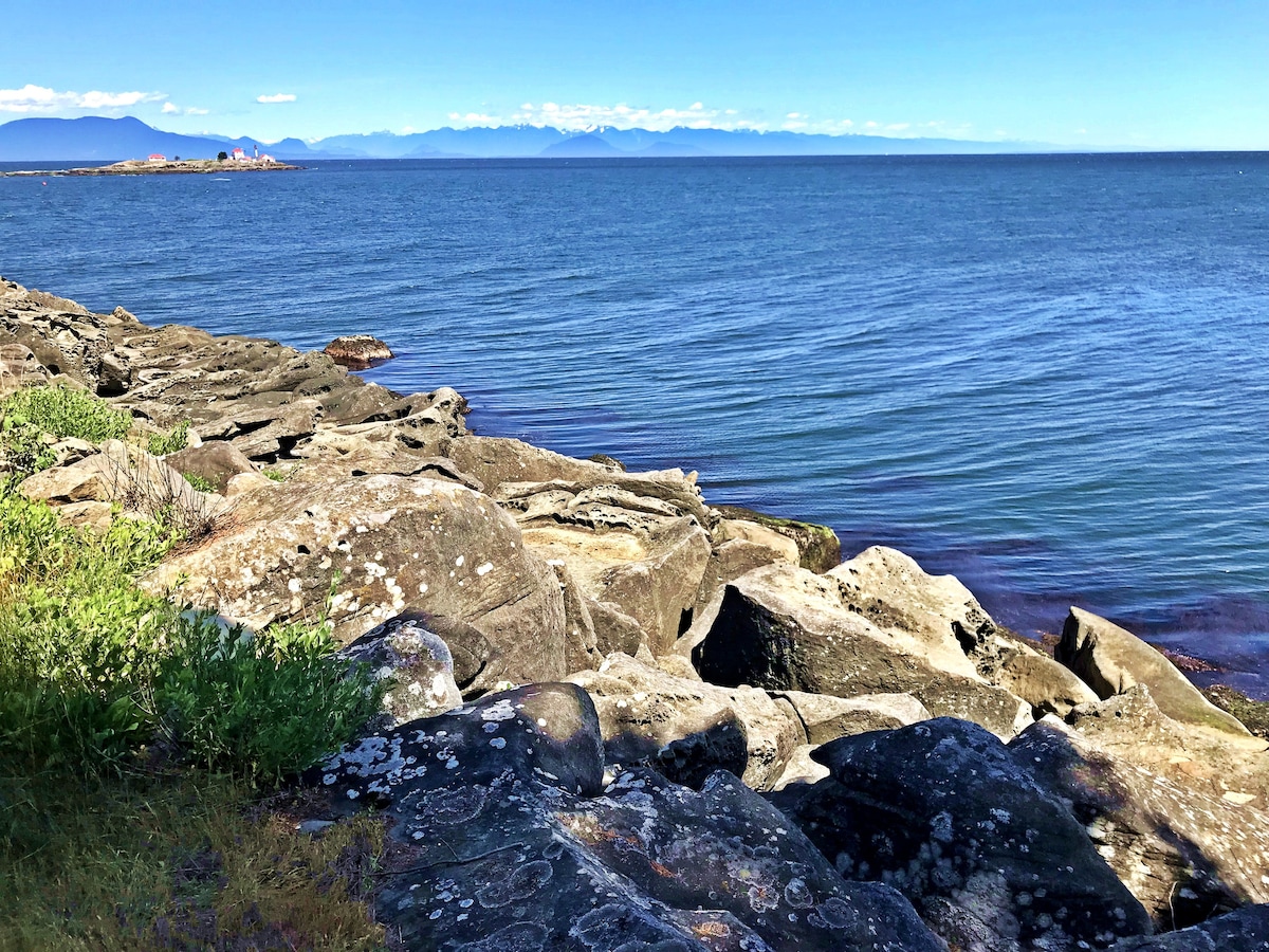 Eagle 's Nest Oceanfront Retreat - 270 °海景