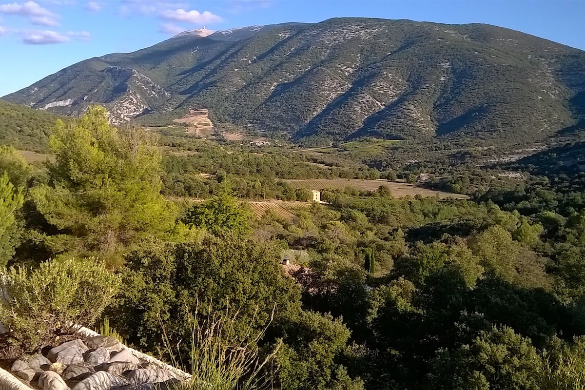 Provence Ventoux. Studio panoramique et piscine