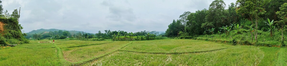 Posada Txiriboga Aileu