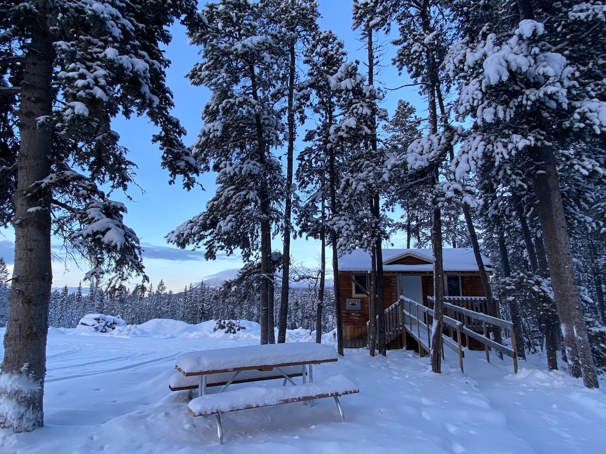The Moose ：温馨的小木屋，可欣赏北极光景观