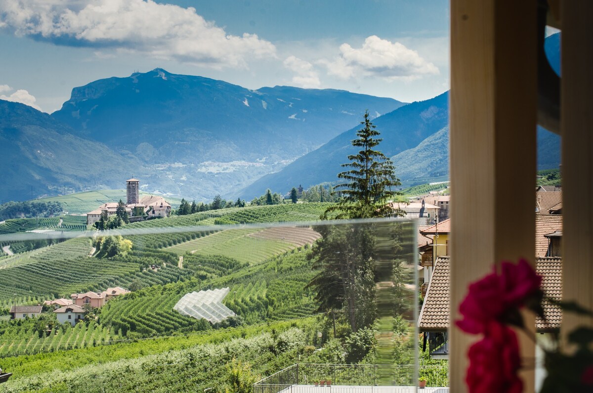 可欣赏到布伦塔多洛米蒂山脉（ Brenta Dolomites ）的美景
