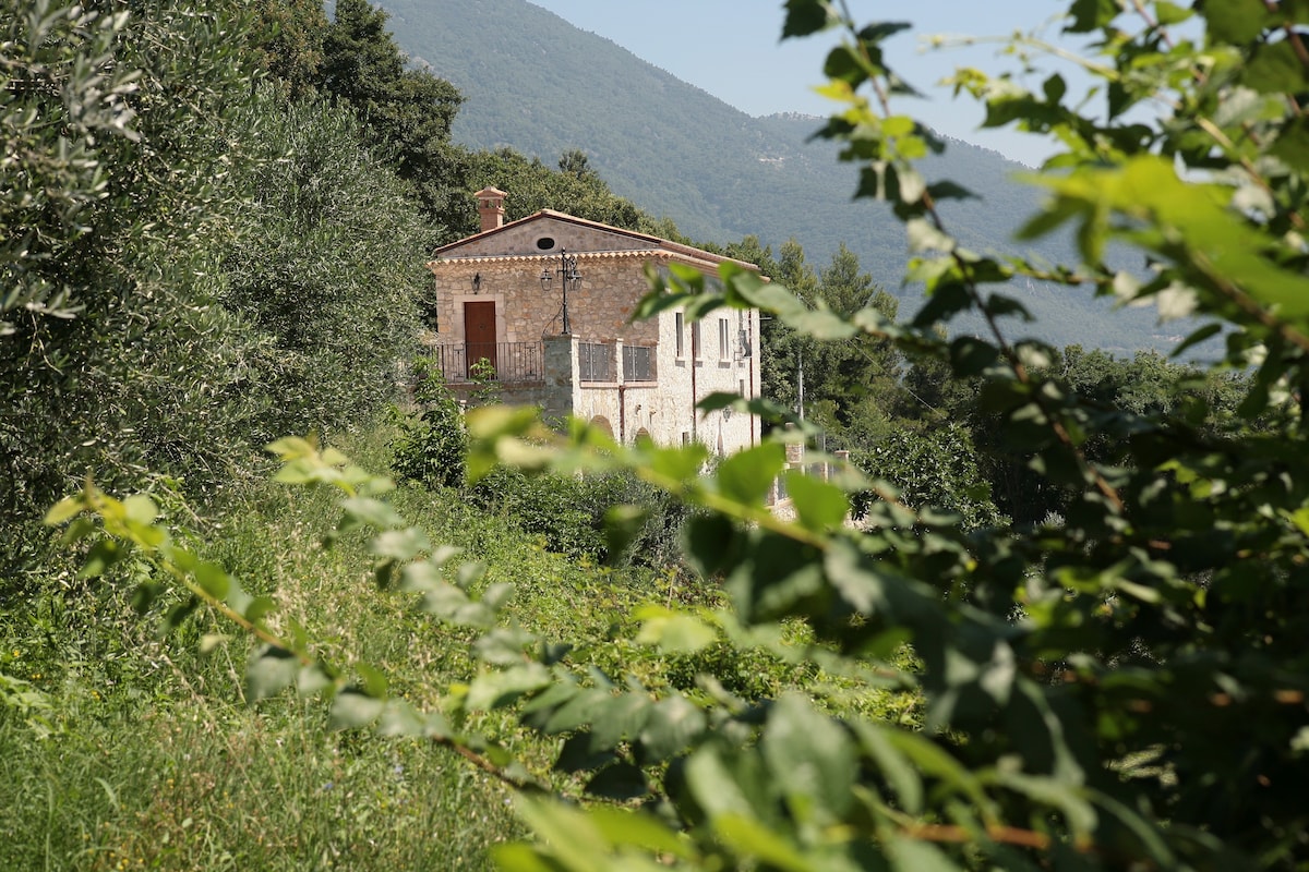 Antico Casolare Ceselenardi - Casa Vacanze