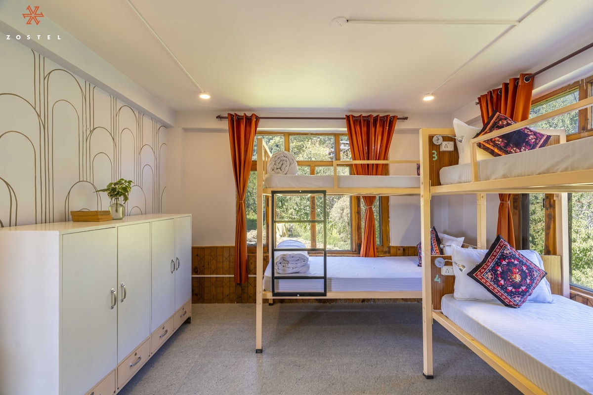 Zostel Old Manali | Bed in 4 Bed Mixed Dorm
