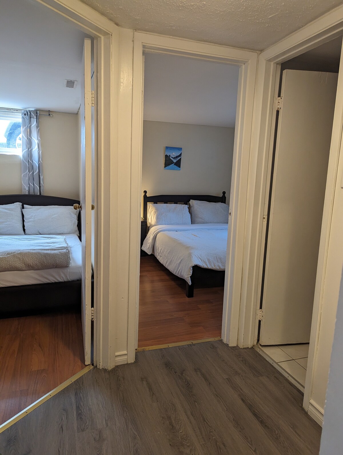 多伦多/明亮舒适的2卧室Bsmt 9月份入住公寓