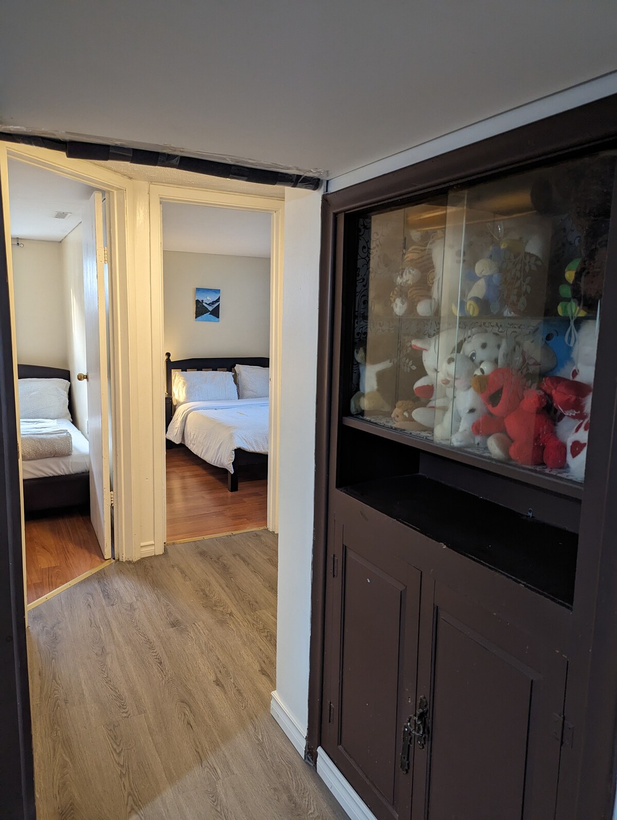 多伦多/明亮舒适的2卧室Bsmt 9月份入住公寓