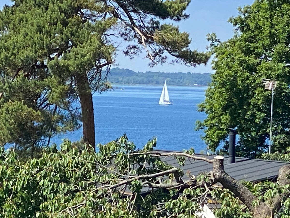 Take in the scenic Roskilde Fjord ship vistas