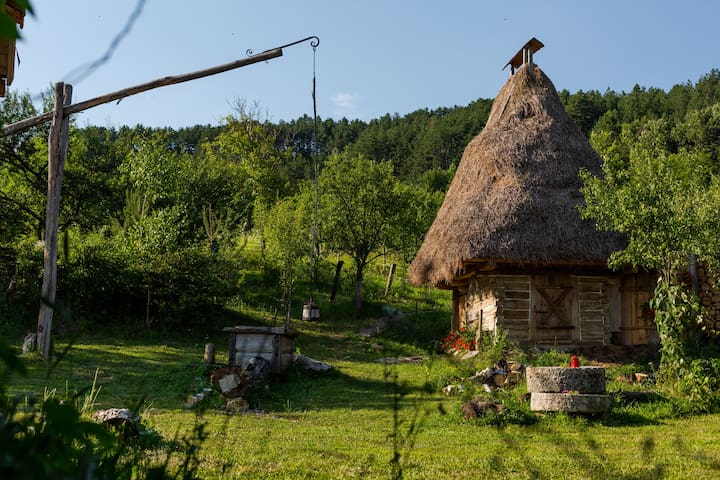 Groşi的民宿