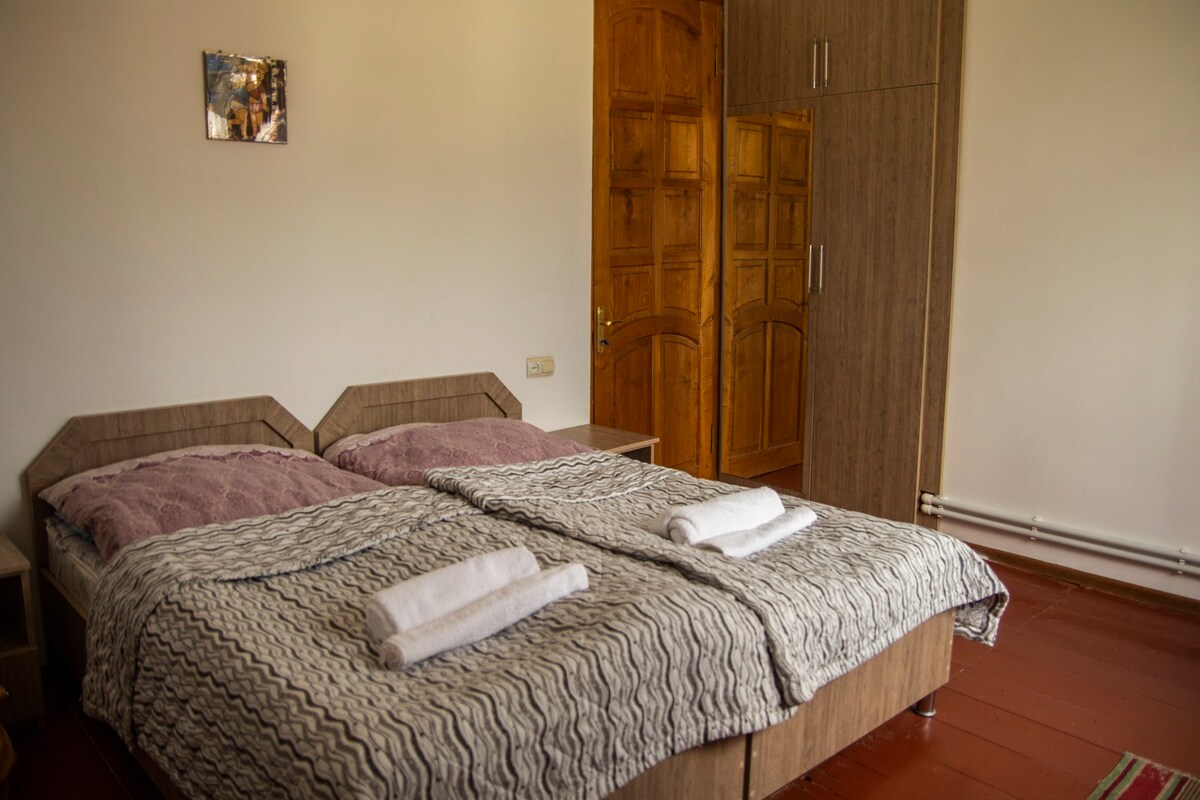 Double/Twin Room with Caucasus Mountain View