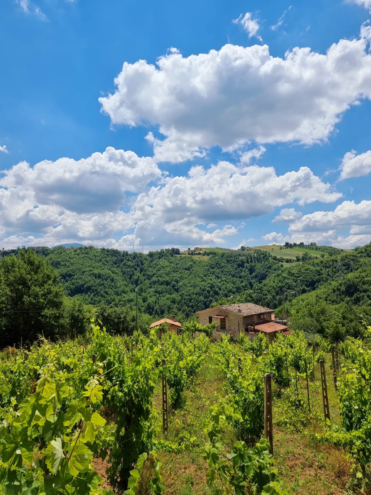 Casa Vacanze Gli Allori