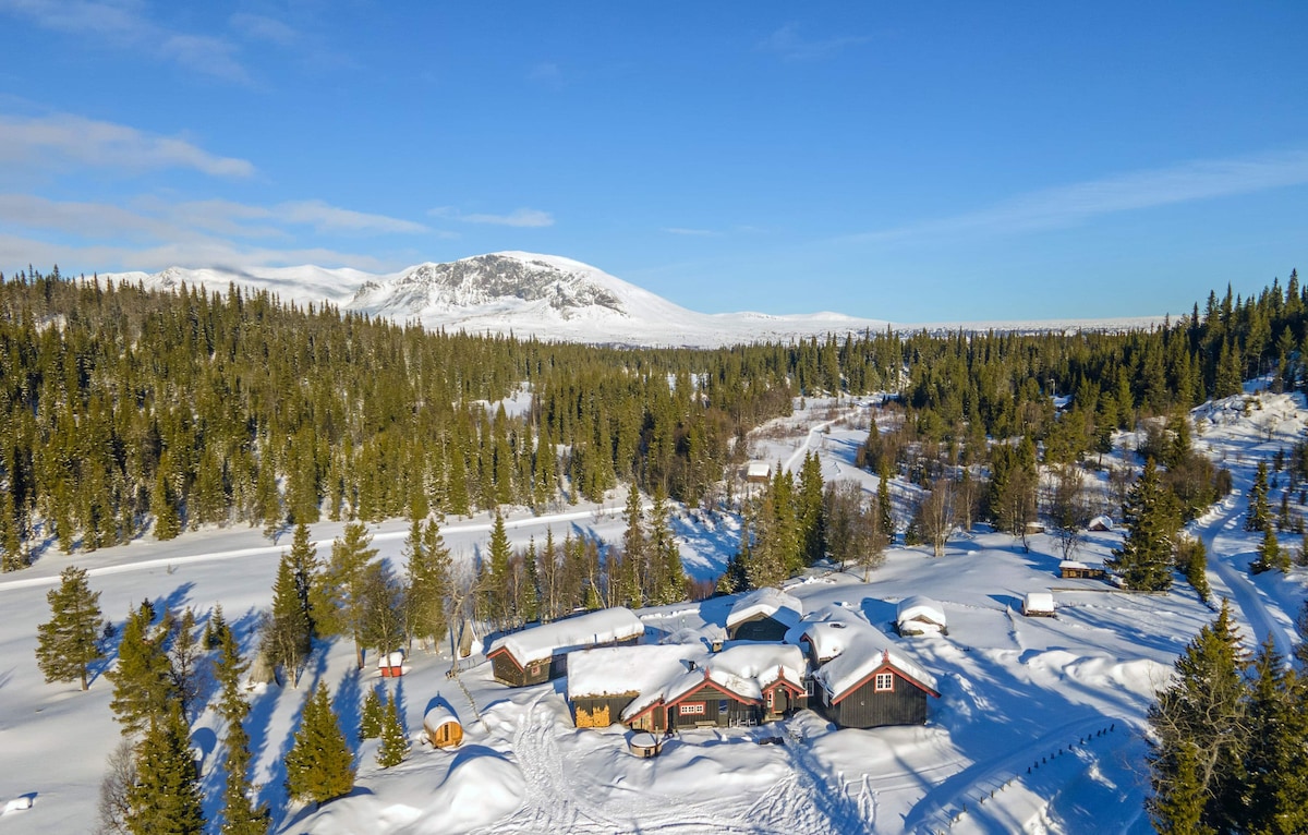 Large Hemsedal Ski & Summer Cabin.  Sleeps 20!