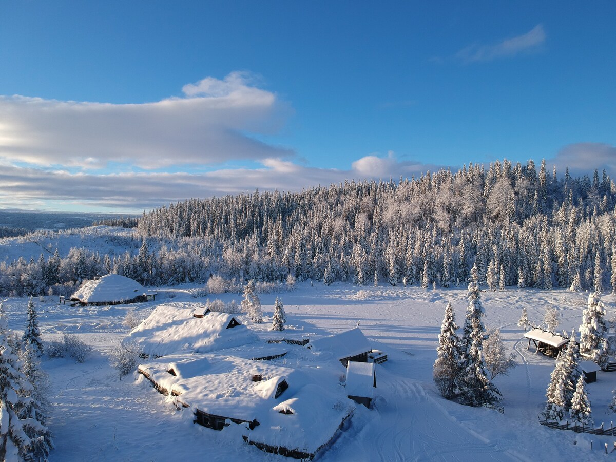 Hemsedal Viking滑雪和夏季小木屋。30人入住！