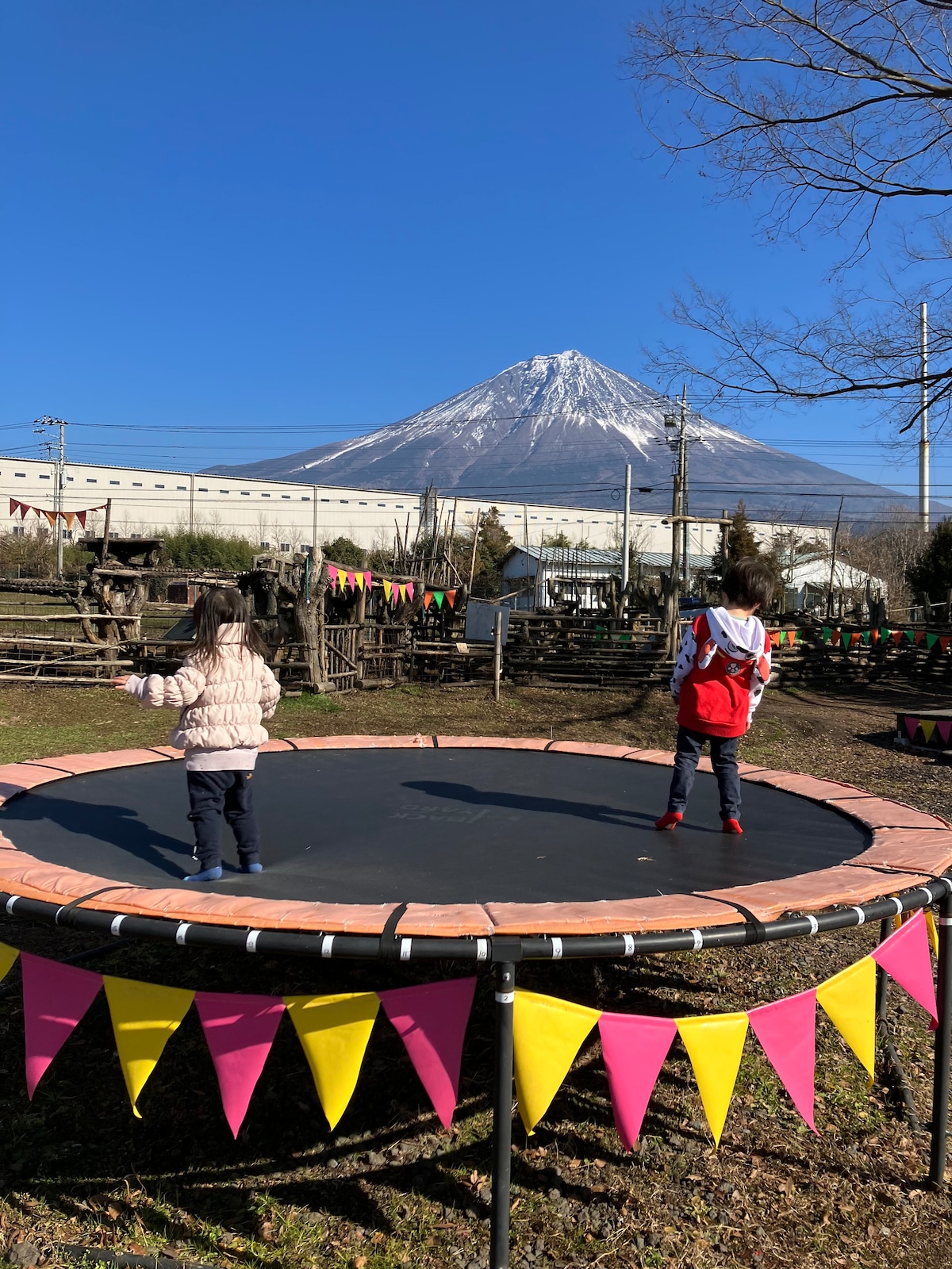 可免费使用俯瞰富士山烧烤场所烧烤场所（免费）。您可以享受动物的接触。・双人床/标准双人床