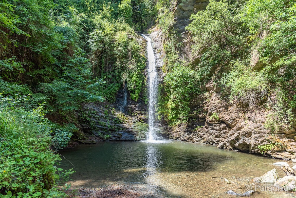 Carcheto Orezza Castagniccia maison proche cascade