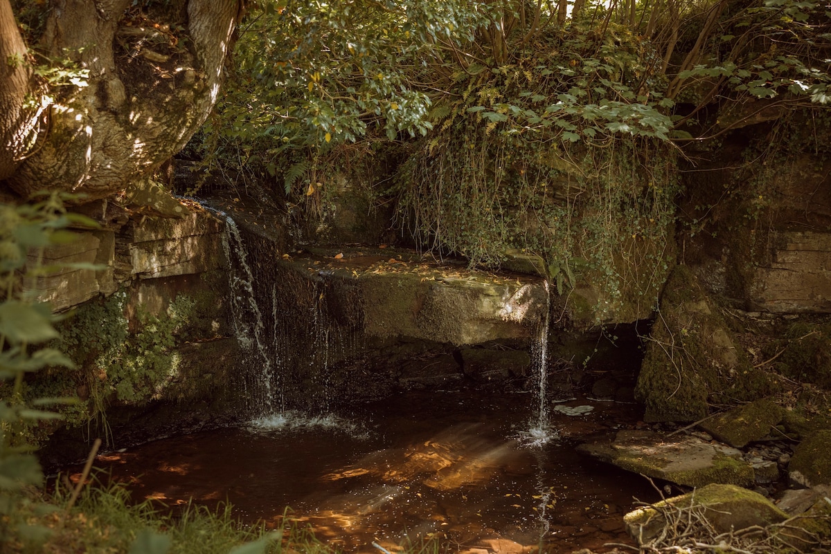 Blaen-y-Cwm Cottage @ Tregoyd Estate