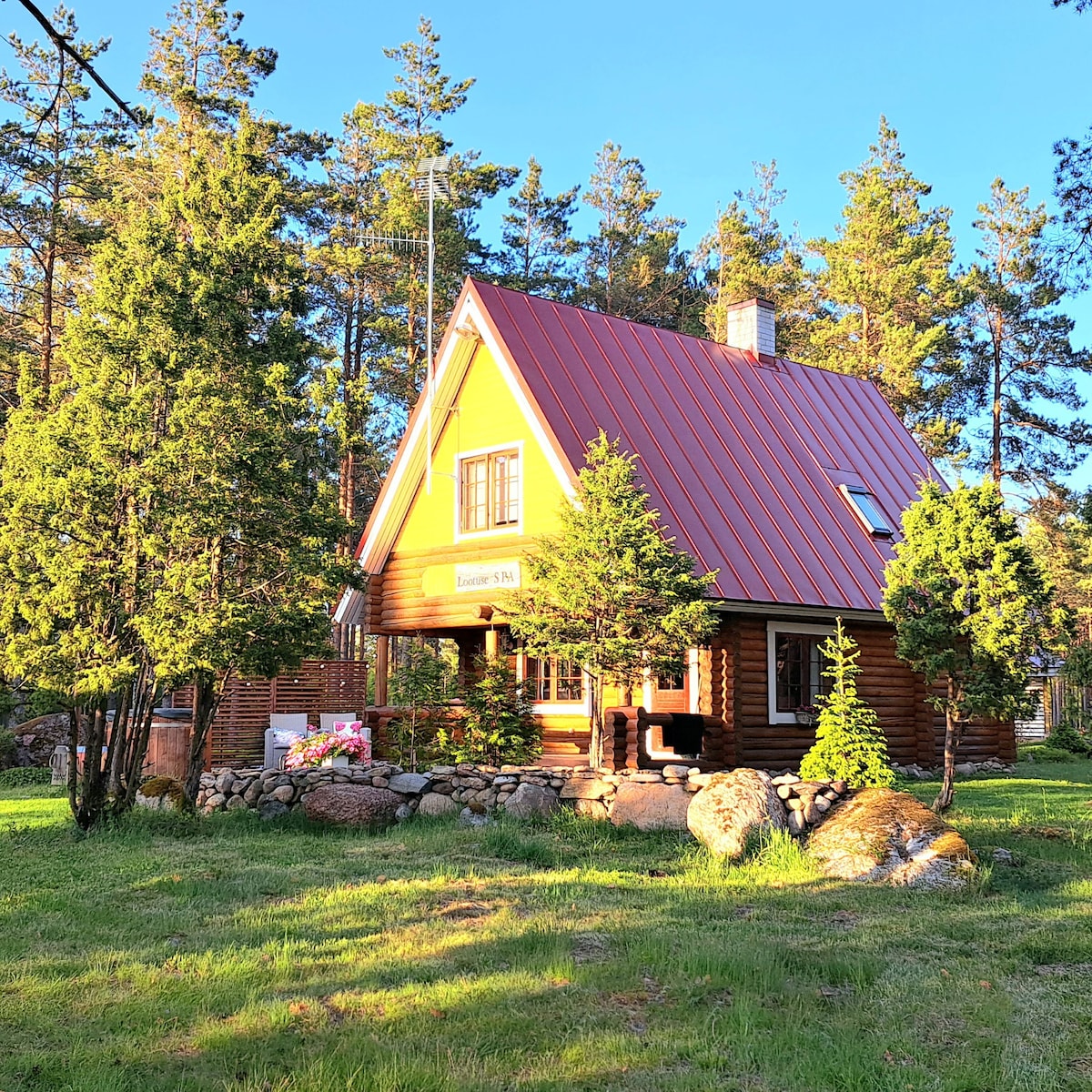 Cozy holiday home  in the middle of pinewoods