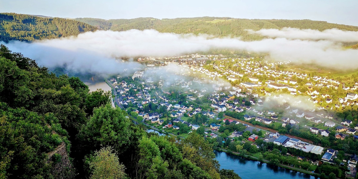 摩泽尔河（ Mosel river ）从上方-全景套房