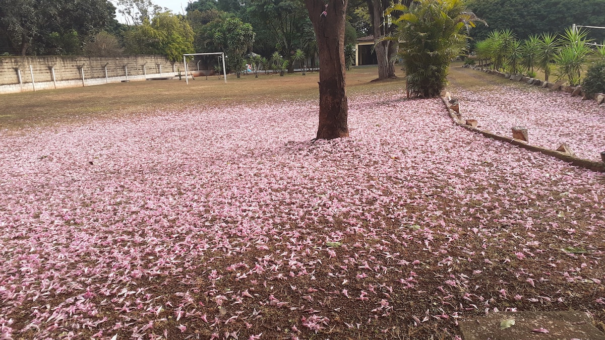 Chácara com casa de campo em Ribeirão Preto - SP