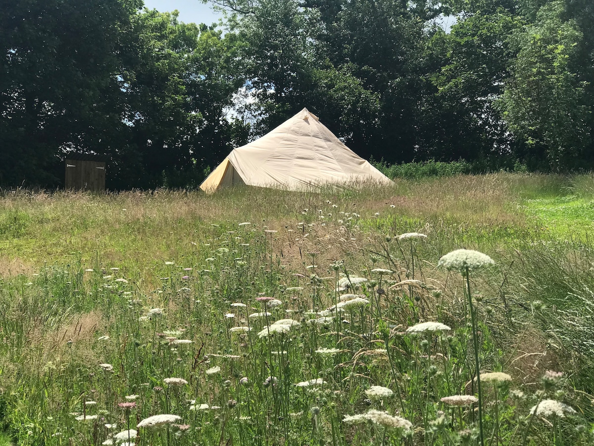 Spacious 6M Bell Tent, Slapton, South Devon