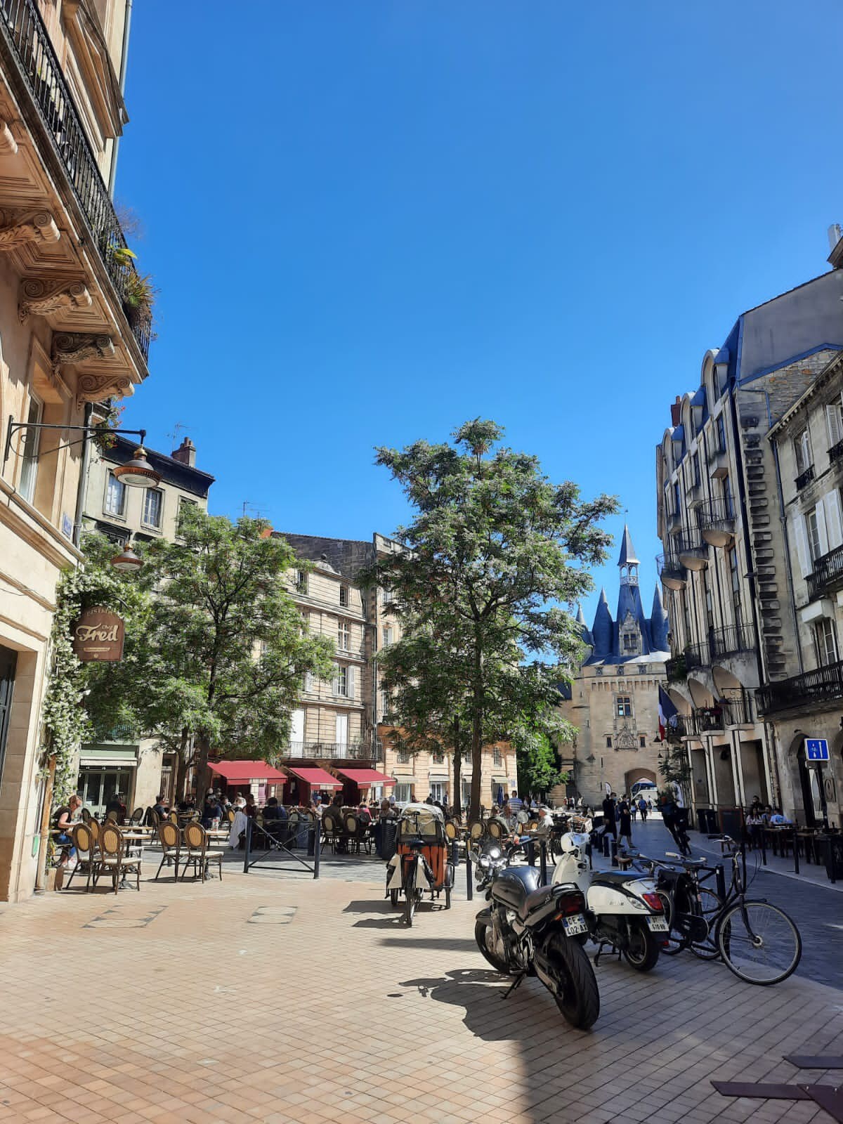 Calme au coeur de bordeaux