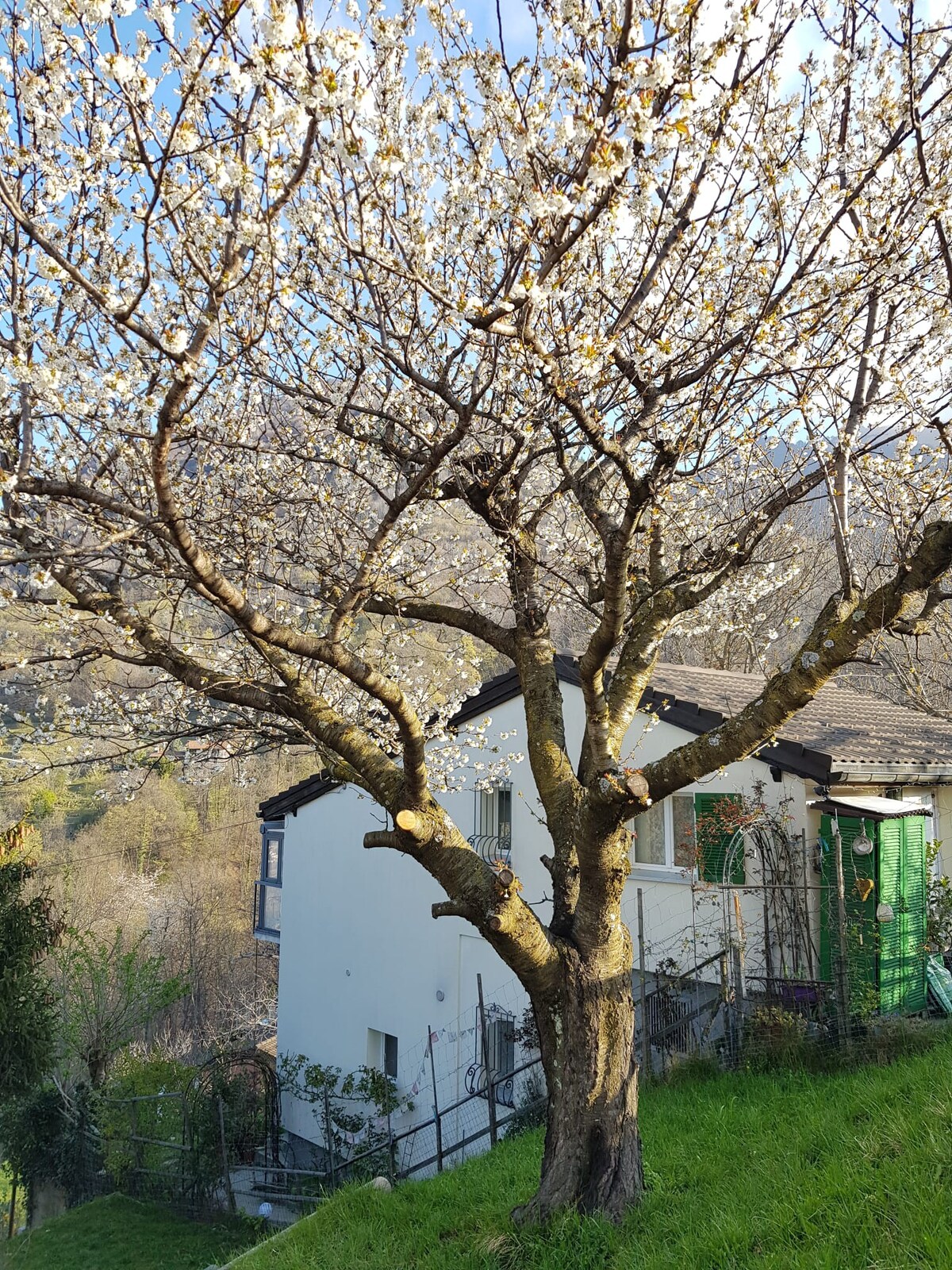 Brè sopra Lugano ，宁静和自然风光