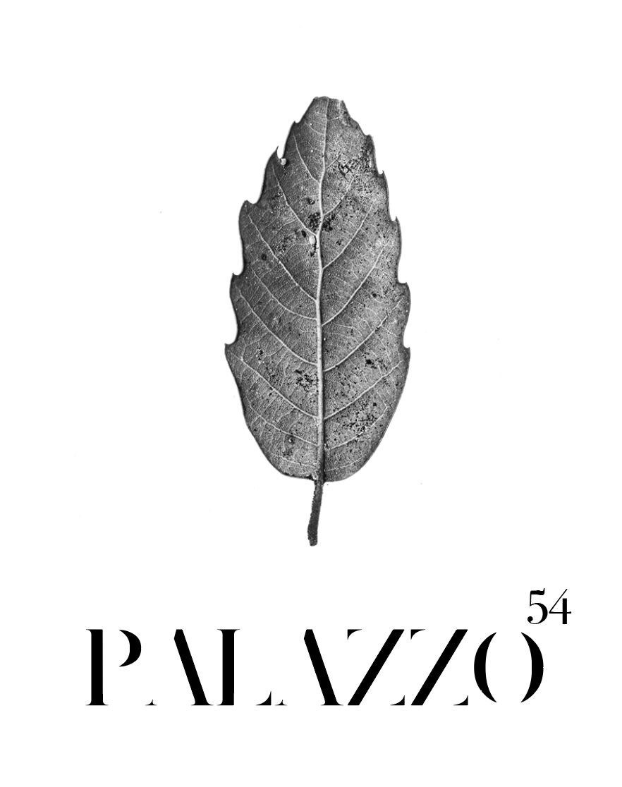 Palazzo 54 ，位于自然保护区的舒适托斯卡纳房屋