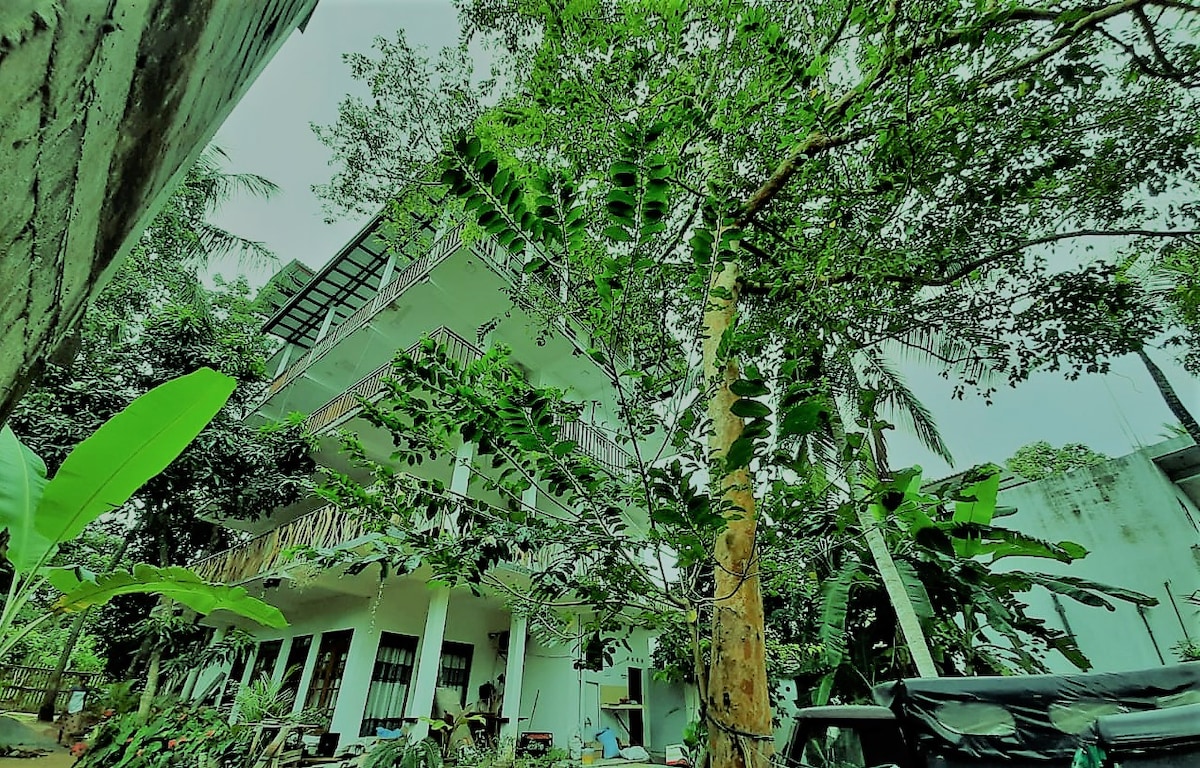 flying peacock @ Tangalle