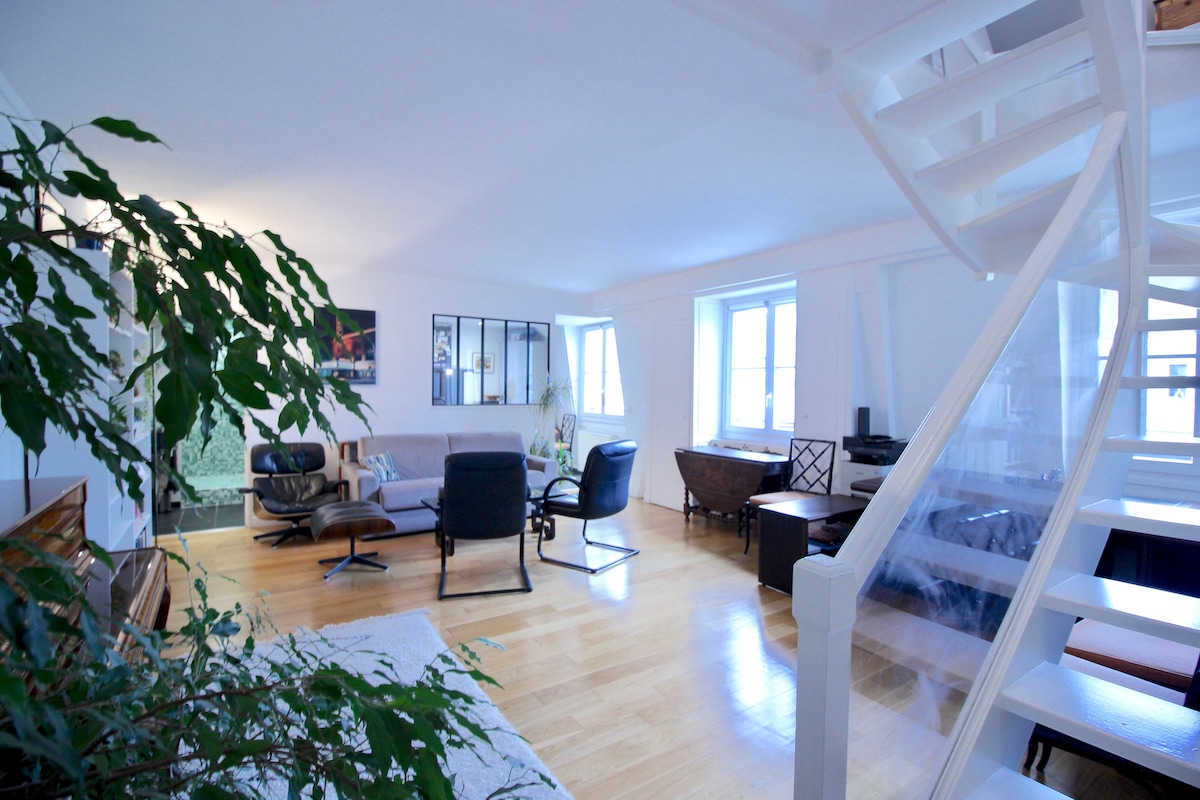 Large 2 storey apt in hypercentral Paris for 4/5p